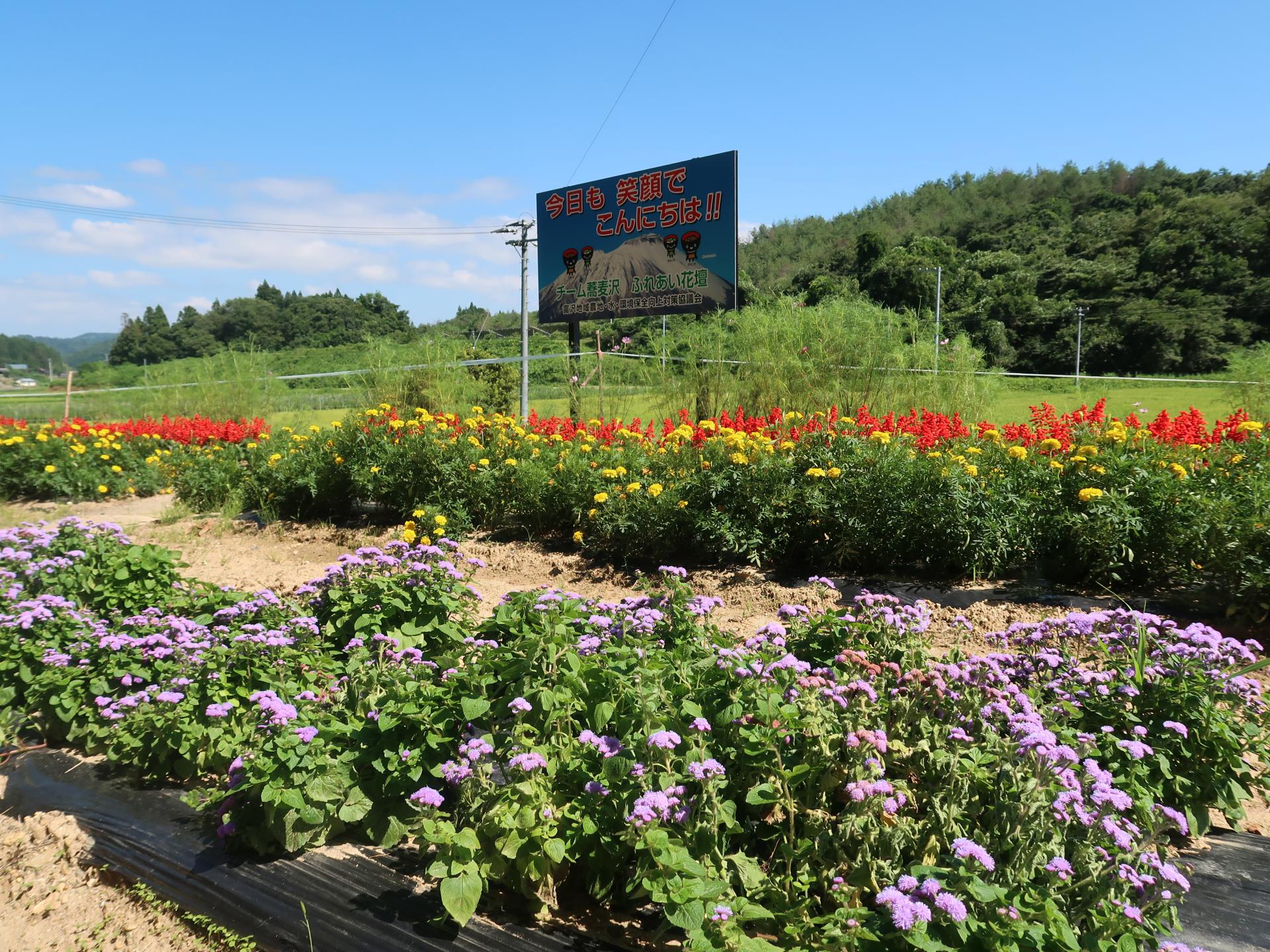 弥栄２区自治会の花壇の写真